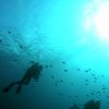 2009-bonaire-duiken013